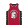 Astro mesh basketballvest