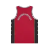 Astro mesh basketballvest