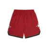 Astro Star Mesh basketballshorts