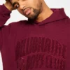 Chenille-logo-hoodie