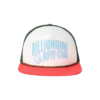 Curve trucker-kasket