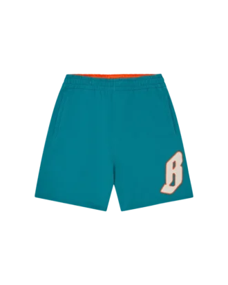 Flying B-chenille-sweatshorts