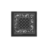 Flying B paisley-bandana