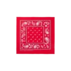 Flying B paisley-bandana