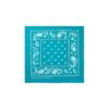 Flying B paisley-bandana