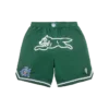 Team IC-basketballshorts med løbende Running Dog Team IC-basketballshorts med løbende Running Dog