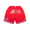 Team IC-basketballshorts med løbende Running Dog Team IC-basketballshorts med løbende Running Dog
