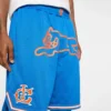 Team IC-basketballshorts med løbende Running Dog Team IC-basketballshorts med løbende Running Dog